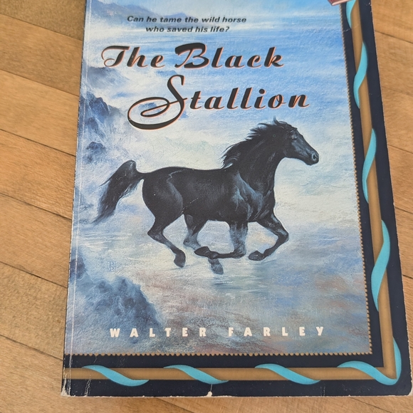 The Black Stallion Book Collection - Picture 4 of 14
